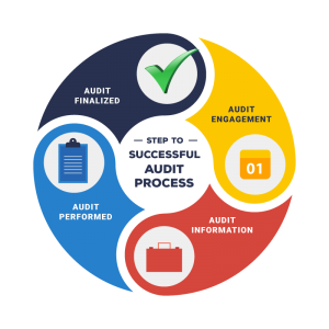 SMSF Audit Process